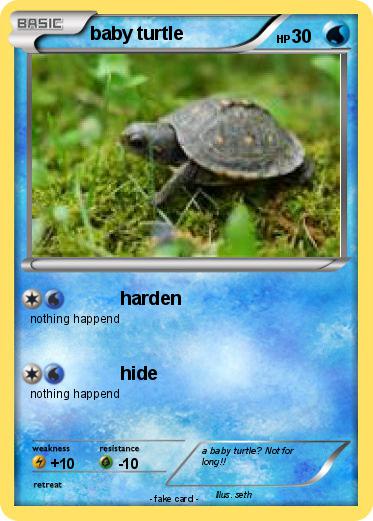 Pokemon baby turtle