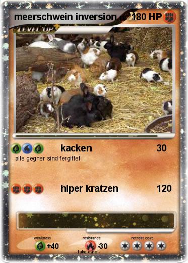 Pokemon meerschwein inversion