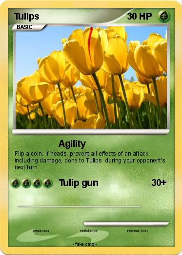 Pokemon Tulips