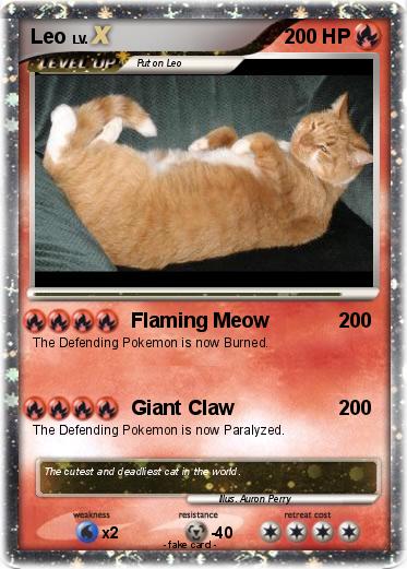 Pokemon Leo
