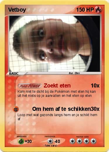 Pokemon Vetboy