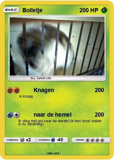 Pokemon Bolletje