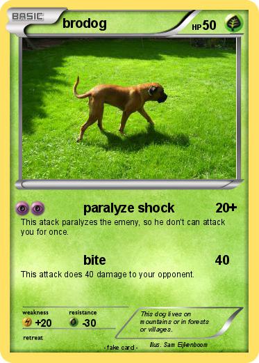 Pokemon brodog