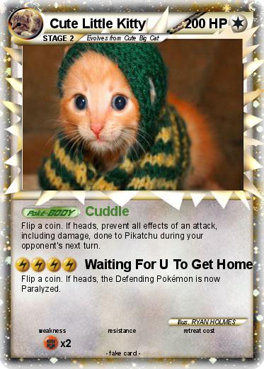 Pokemon Cute Little Kitty