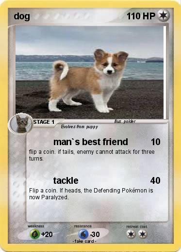 Pokemon dog