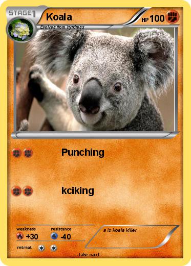 Pokemon Koala