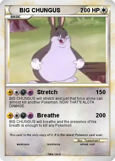 Pokemon BIG CHUNGUS