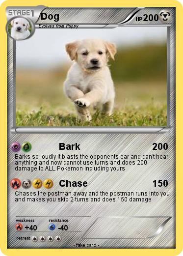 Pokemon Dog