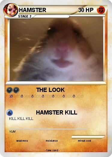Pokemon HAMSTER