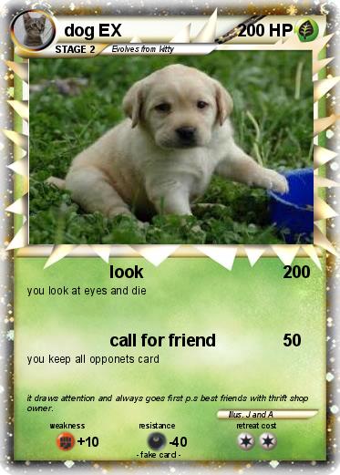 Pokemon dog EX
