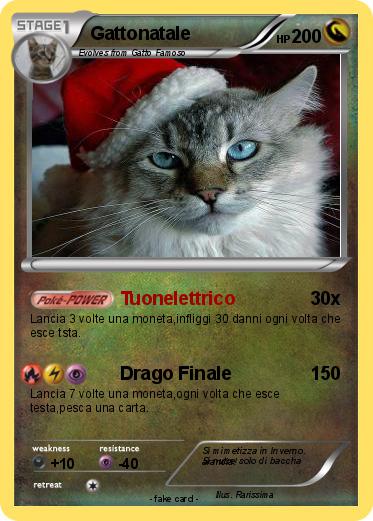Pokemon Gattonatale
