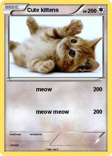 Pokemon Cute kittens