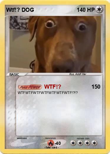 Pokemon Wtf!? DOG
