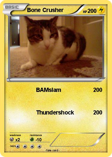 Pokemon Bone Crusher
