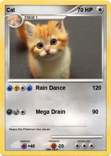 Pokemon Cat