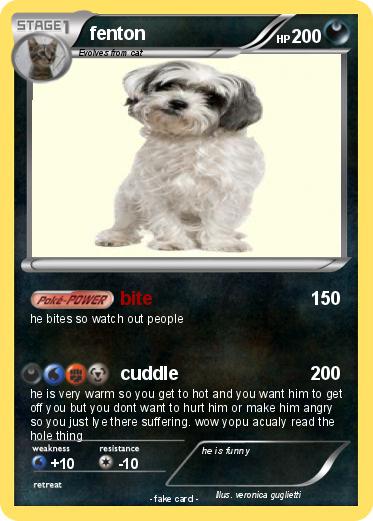 Pokemon fenton