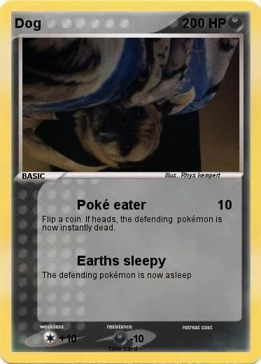Pokemon Dog