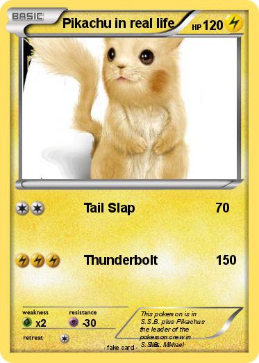 Pokemon Pikachu in real life