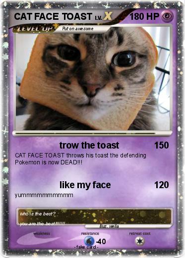 Pokemon CAT FACE TOAST