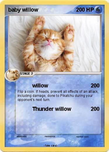 Pokemon baby willow