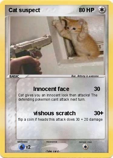 Pokemon Cat suspect