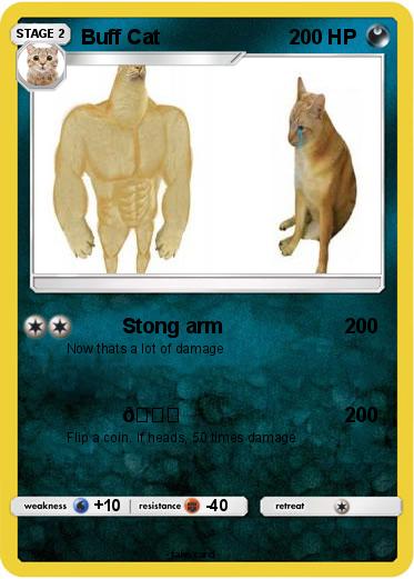 Pokemon Buff Cat