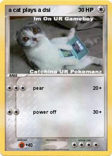 Pokemon a cat plays a dsi