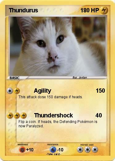 Pokemon Thundurus