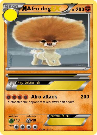 Pokemon Afro dog