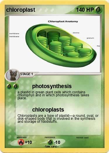 Pokemon chloroplast