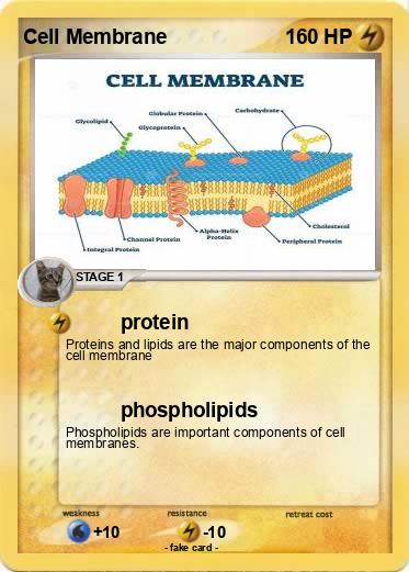 Pokemon Cell Membrane