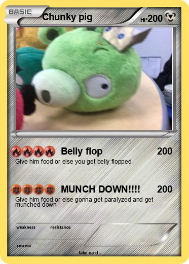 Pokemon Chunky pig