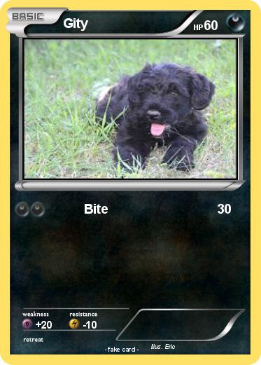 Pokemon Gity