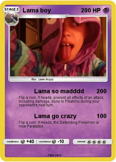 Pokemon Lama boy