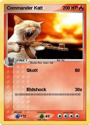 Pokemon Commander Katt