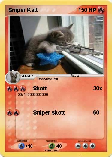 Pokemon Sniper Katt