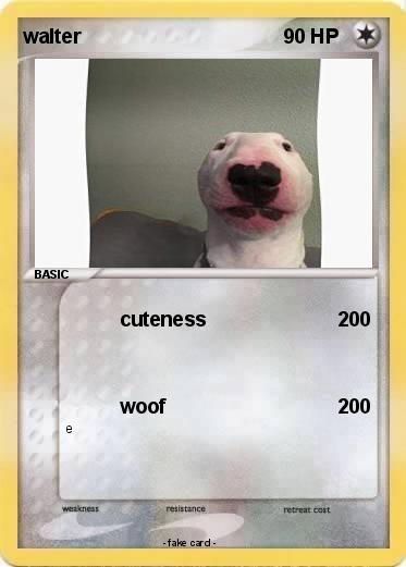 Pokemon walter
