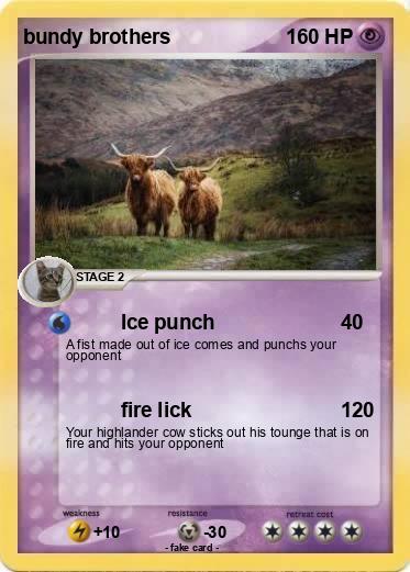 Pokemon bundy brothers