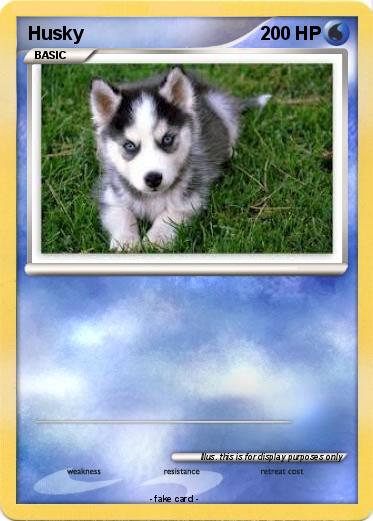 Pokemon Husky