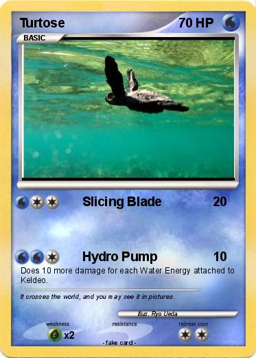 Pokemon Turtose