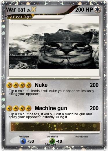 Pokemon War cat
