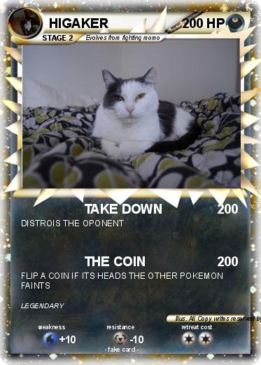 Pokemon HIGAKER