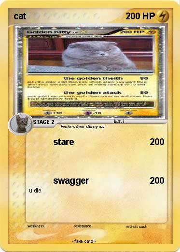 Pokemon cat