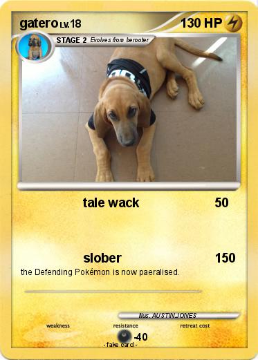 Pokemon gatero