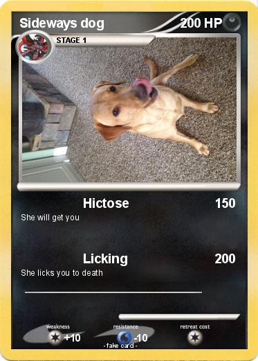 Pokemon Sideways dog