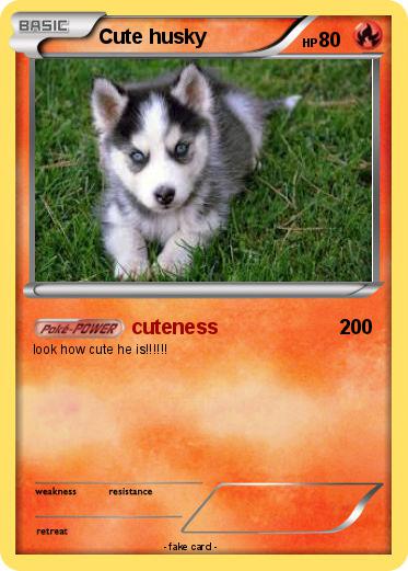 Pokemon Cute husky