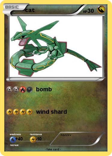 Pokemon cat