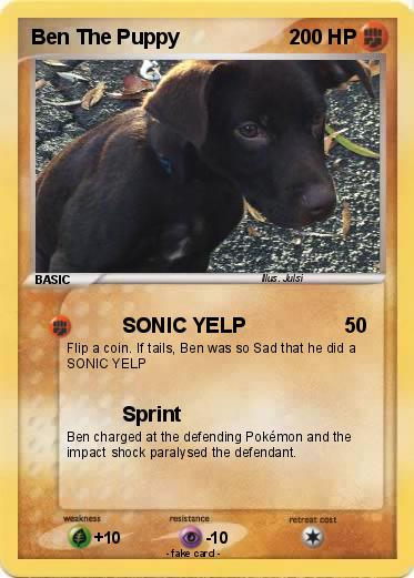 Pokemon Ben The Puppy
