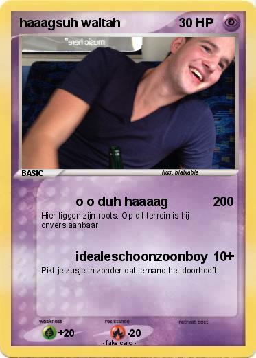 Pokemon haaagsuh waltah
