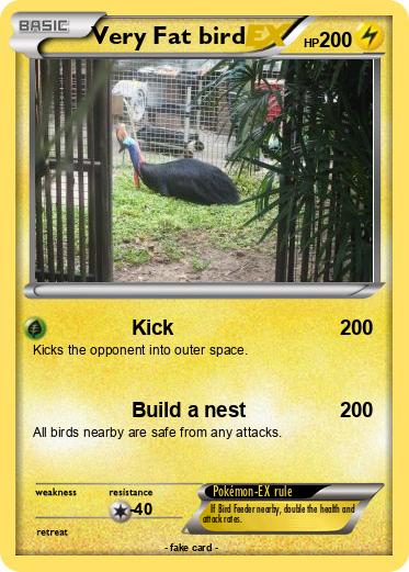 Pokemon Very Fat bird